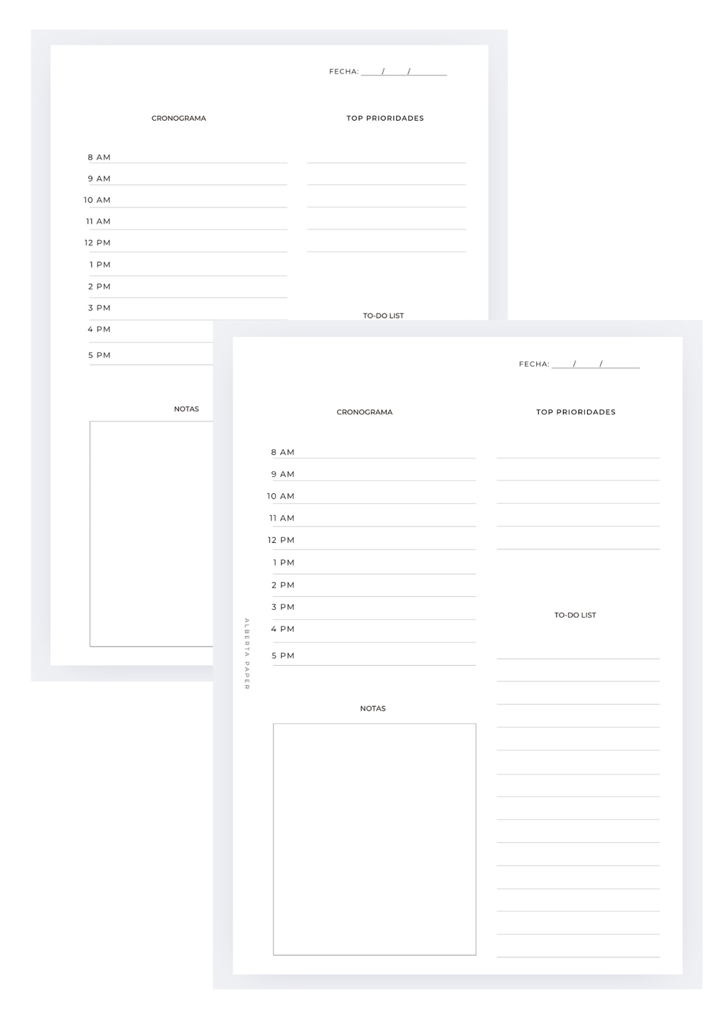 Organizador Diario